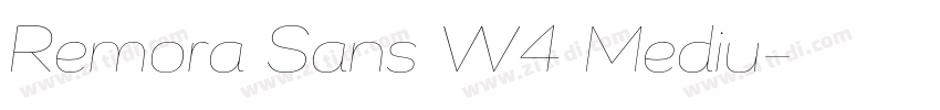 Remora Sans W4 Mediu字体转换